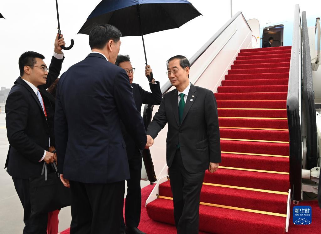 菠萝休闲娱乐
